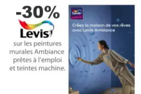 Offre: Levis