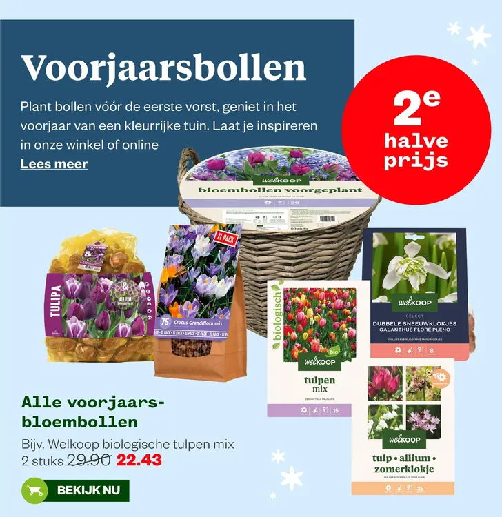 Aanbieding: Voorjaars-bloembollen