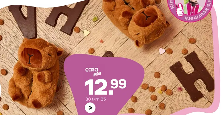 Aanbieding: Pantoffels