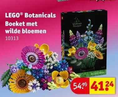 Promotie: Botanicals Boeket met wilde bloemen
