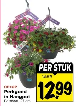 Perkgoed in Hangpot