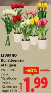 Aanbieding: Kunstbloemen of tulpen