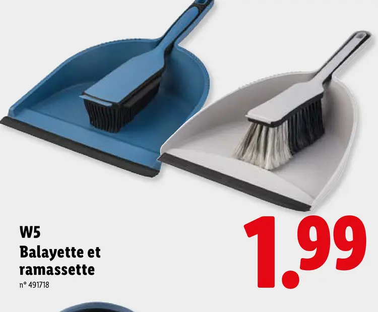 Offre: Balayette et ramassette