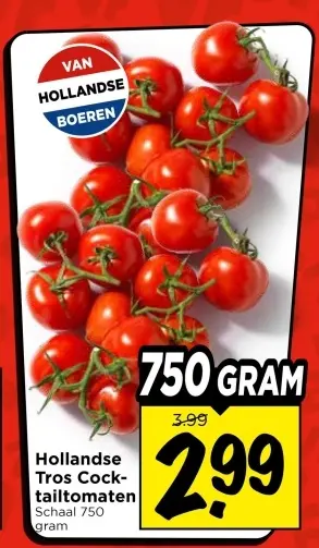 Aanbieding: Hollandse Tros Cocktailtomaten