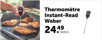 Offre: Thermomètre Instant-Read