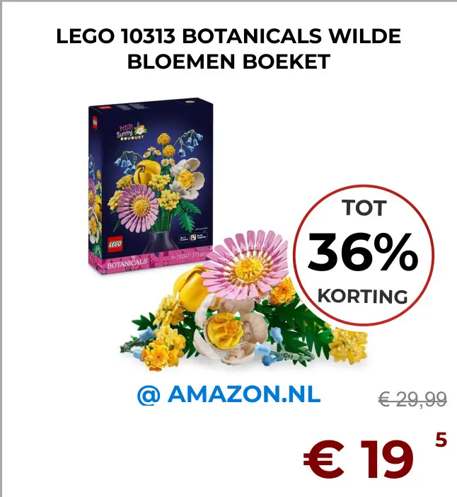 Aanbieding: Lego 10313 botanicals wilde bloemen boeket