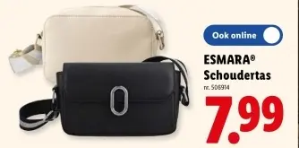 Promotie: Schoudertas
