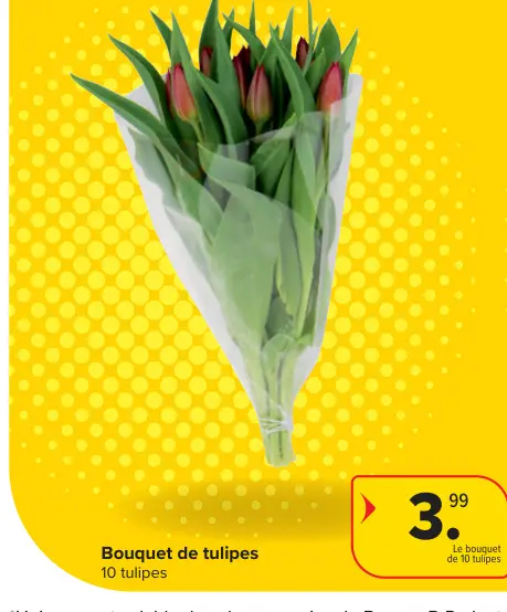 Offre: Bouquet de tulipes