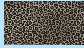 Promotie: Deurmat Rossie