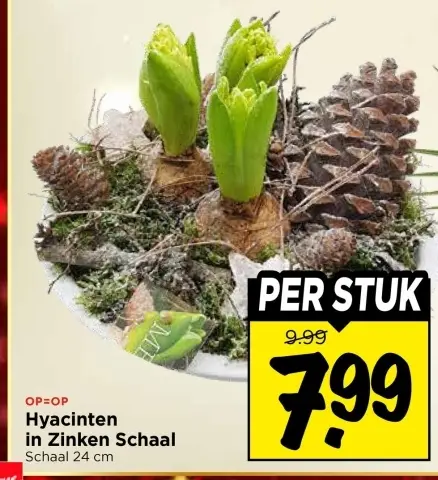 Aanbieding: Hyacinten in Zinken Schaal