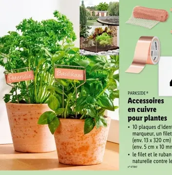 Offre: Accessoires en cuivre pour plantes