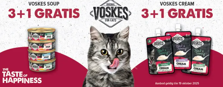 Aanbieding: Voskes soup