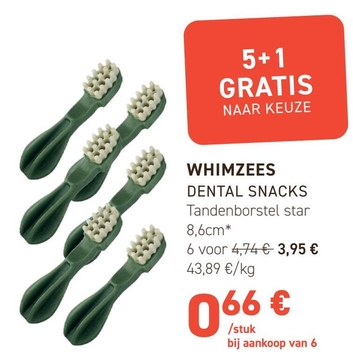 Aanbieding: WHIMZEES DENTAL SNACKS Tandenborstel star