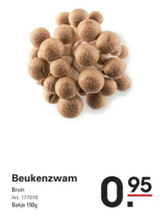 Promotie: Beukenzwam