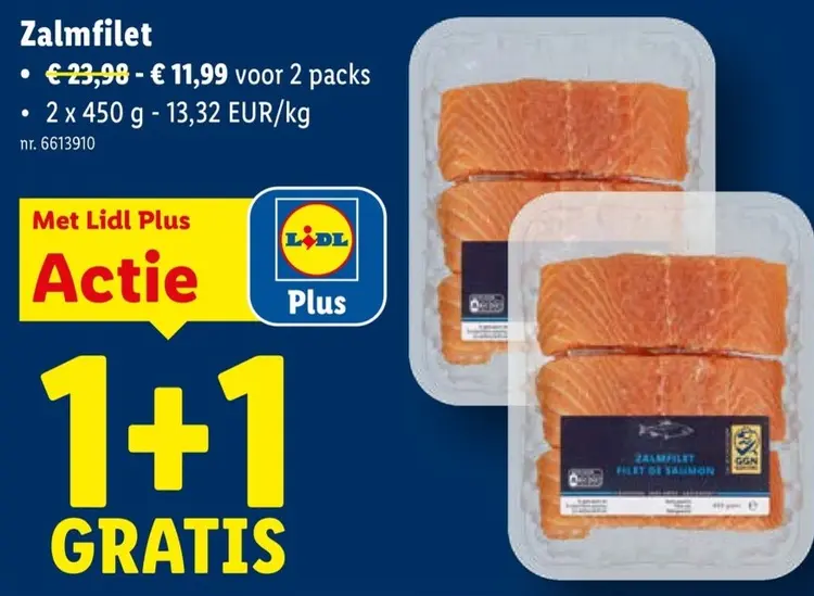 Promotie: Zalmfilet