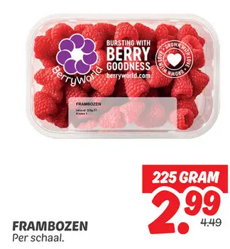 Frambozen