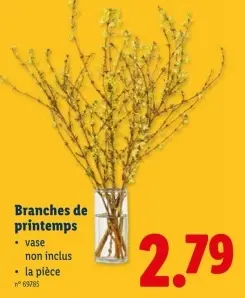 Offre: Branches de printemps