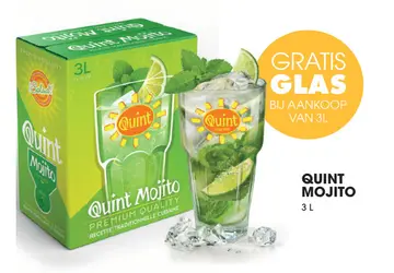 Aanbieding: Quint Mojito