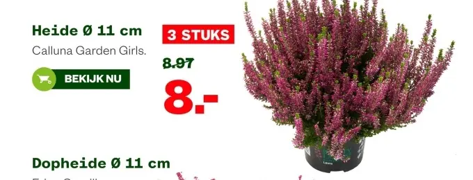 Aanbieding: Heide