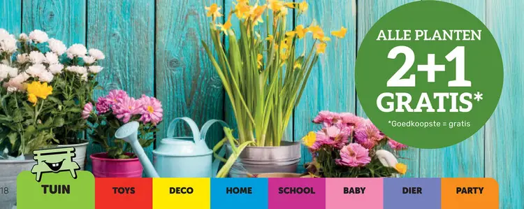 Promotie: Alle Planten