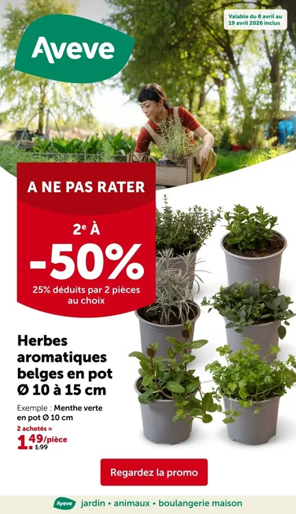Offre: Herbes aromatiques belges en pot