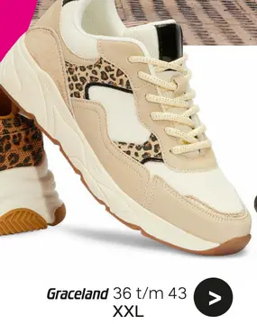 Aanbieding: Graceland