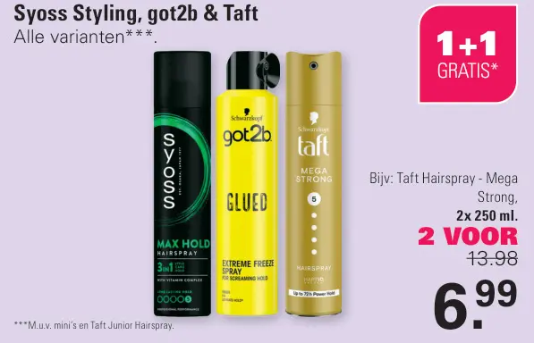 Aanbieding: Styling, got2b & Taft