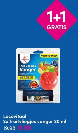 Aanbieding: Fruitvliegjes vanger