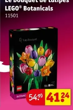 Offre: Le bouquet de tulipes