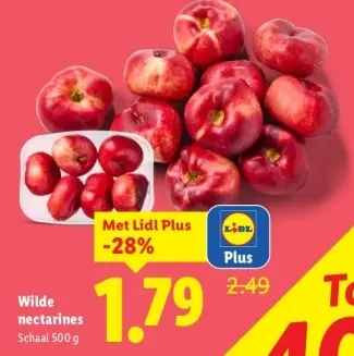 Aanbieding: Wilde nectarines