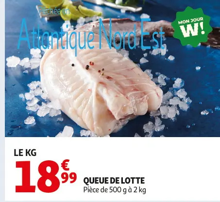 Promotie: Queue de lotte