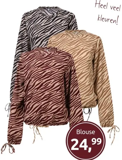 Aanbieding: Blouse