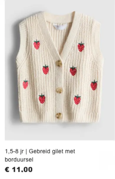 Promotie: Gebreid gilet met borduursel