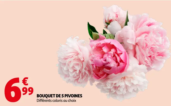 Promotie: Bouquet de 5 pivoines