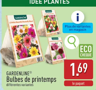 Offre: Bulbes de printemps