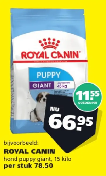 Aanbieding: hond puppy giant