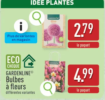 Offre: GARDENLINE Bulbes à fleurs