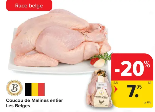 Offre: Coucou de Malines entier