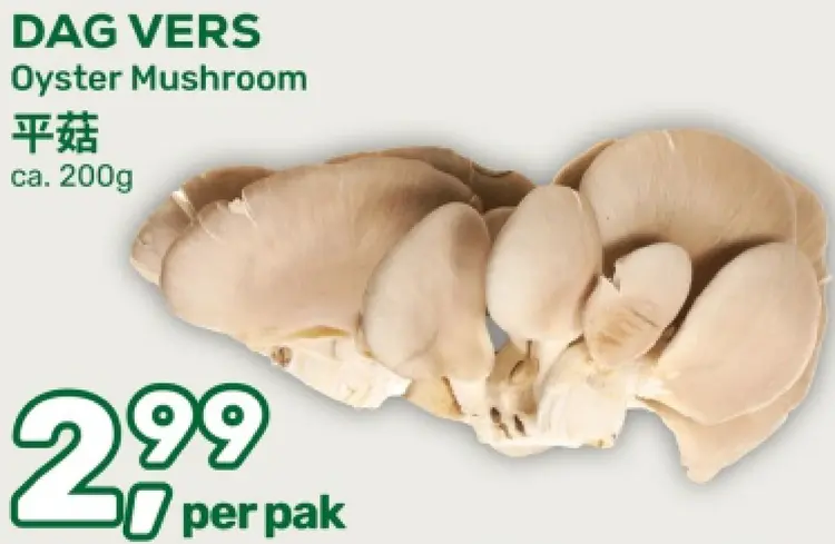 Aanbieding: Oyster Mushroom
