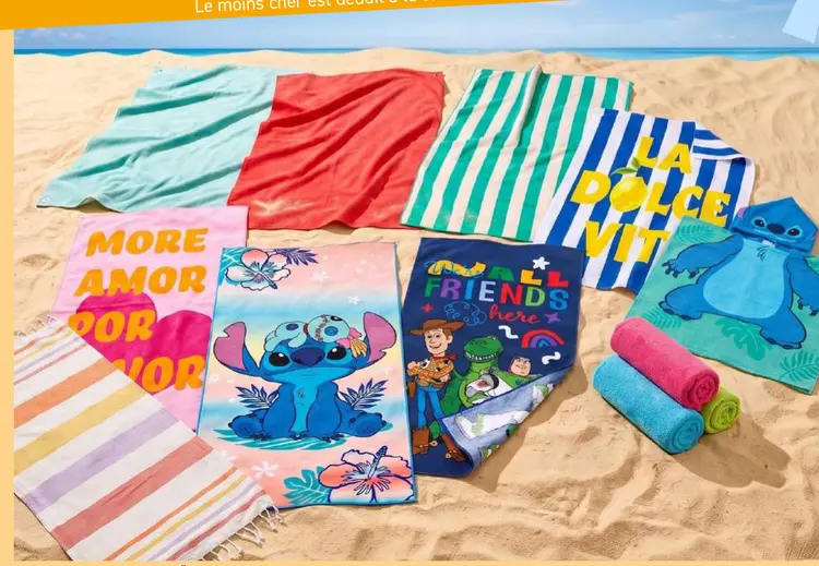 Offre: Serviettes de plage