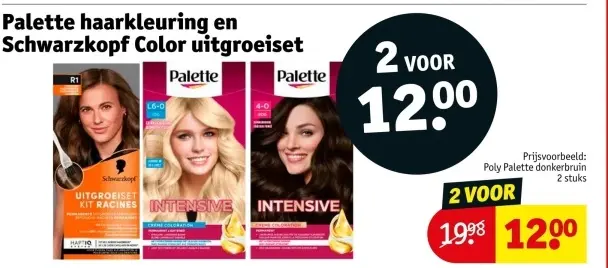 Aanbieding: Palette haarkleuring en Schwarzkopf Color uitgroeiset