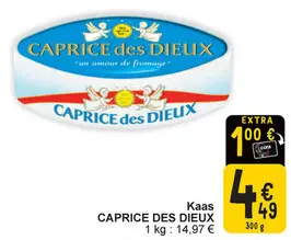 Aanbieding: Kaas