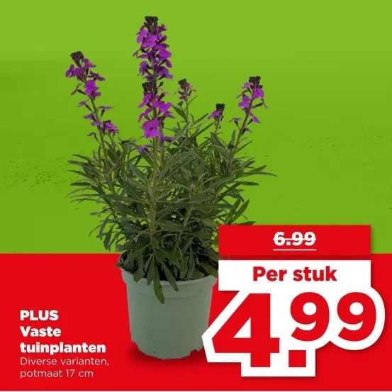 Vaste tuinplanten