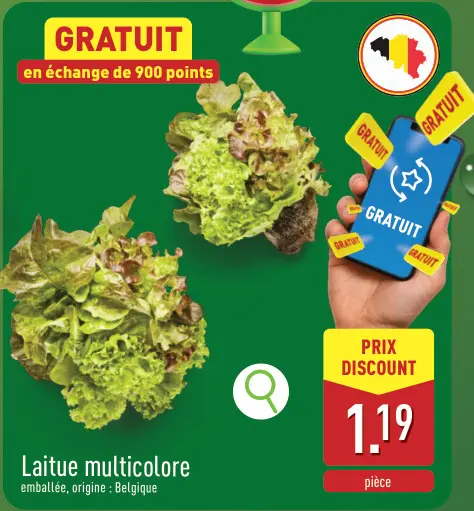 Offre: Laitue multicolore