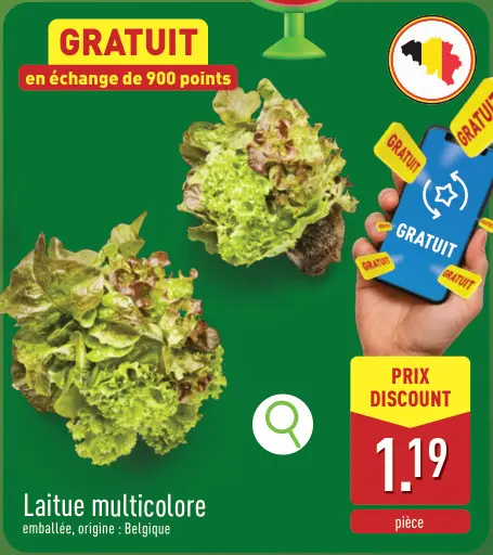 Offre: Laitue multicolore