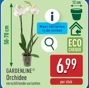 Promotie: Orchidee