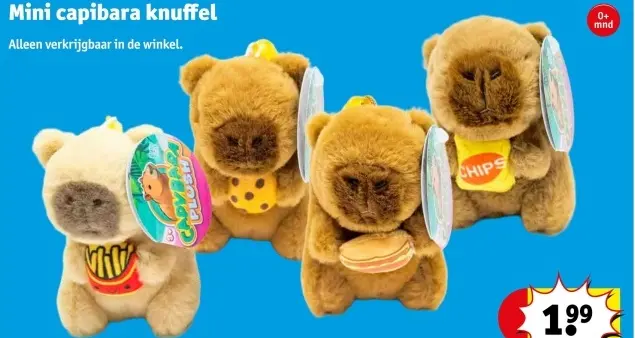 Promotie: Mini capibara knuffel