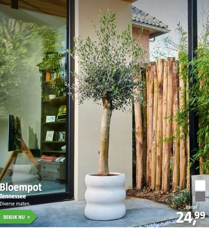 Aanbieding: Bloempot Tennessee