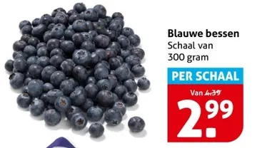 Aanbieding: Blauwe bessen