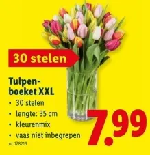 Promotie: Tulpenboeket XXL